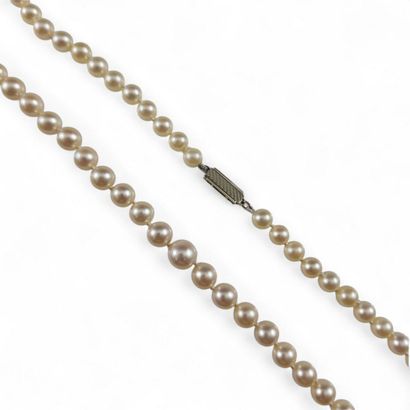 COLLIER DE PERLES supposées fines en chute...