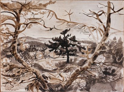 Dany LARTIGUE (1921-2017)
Winter, hinterland...