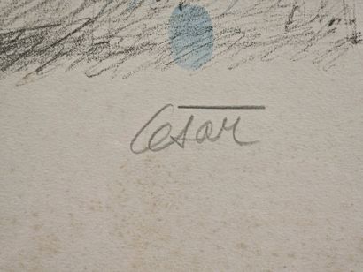 CESAR (1921-1998)
Le centaure
LITHOGRAPHIE
Signée...