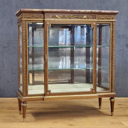François LINKE (1855-1946) - VITRINE A HAUTEUR...