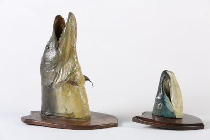 LOT :

TÊTE de BROCHET naturalisée. Socle...