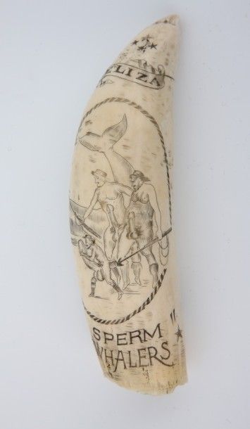 DENT de CACHALOT gravée d’une scène érotique...