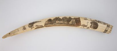 DENT de MORSE, gravée « HONNI SOIT QUI MAL...