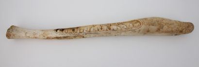 OS pénien de morse sculpté de morses. XIXème...