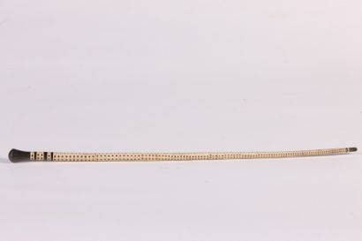 STICK en vertèbres de requin, pommeau corne....