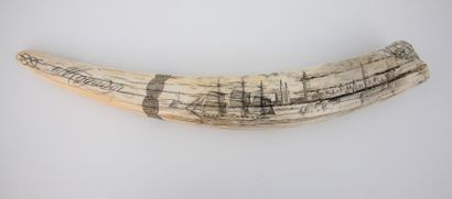 DENT de MORSE, gravée « MOGADOR » avec voiliers...