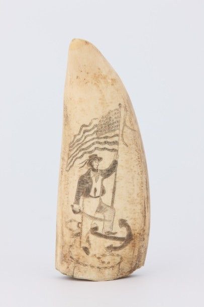 DENT de CACHALOT ou Scrimshaw, gravée d’un...