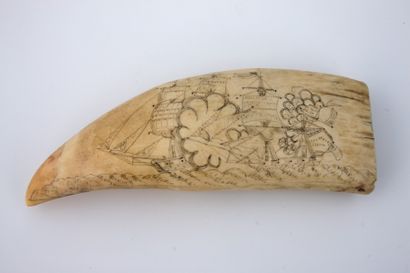 DENT de CACHALOT ou Scrimshaw, gravée d’une...