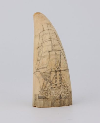 DENT de CACHALOT ou Scrimshaw, gravée d'un...