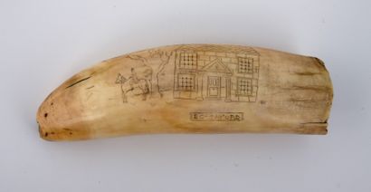 DENT de CACHALOT ou Scrimshaw, gravée d’un...