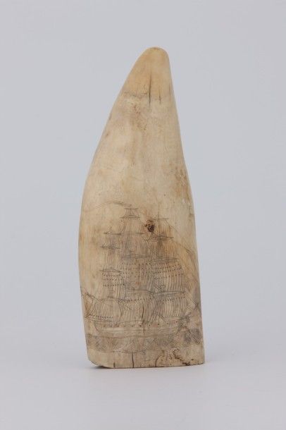DENT de CACHALOT ou Scrimshaw gravée trois-mâts...