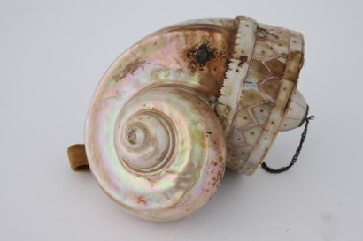 POIRE à POUDRE en forme de coquillage, recouverte...
