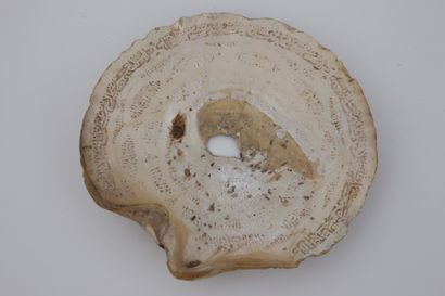 NACRE - inscriptions arabes. Ancien travail...