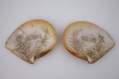LOT :

NACRE ou Meleagrina Margaritifera,...