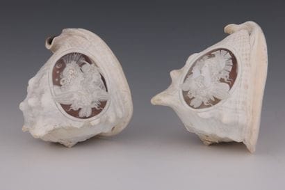 LOT :

CONQUE sculptée de deux profils et...