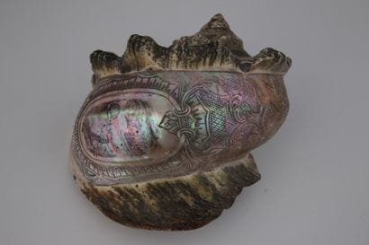 Grand LAMBIS ou CONQUE marine gravée d’une...
