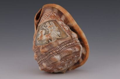 COQUILLAGE sculpté de l’effigie de ZEUS sur...