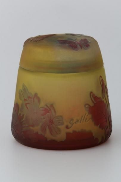 GALLE (Ets) 

Boite aux papillons

Verre...