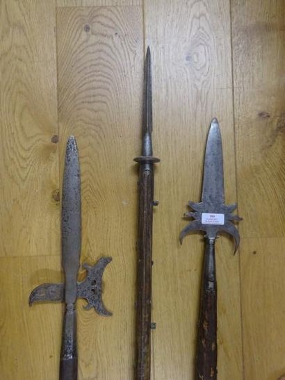 LOT D'ARMES de Style Renaissance

Comprenant...
