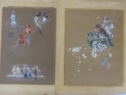 Hector GIACOMELLI (1822-1904)

DEUX ETUDES...