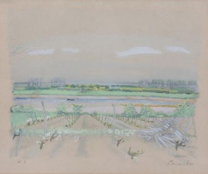 Maurice BRIANCHON (1899-1979)

Vignobles...