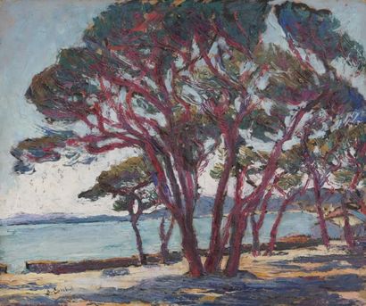 Béatrice CAREBUL (1883-1973)

Vue du Cap...
