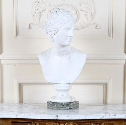 GRAND BUSTE DE FEMME À L'ANTIQUE de Style...