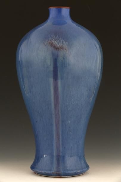 CHINE XIXème Siècle 

Vase de forme Meiping...