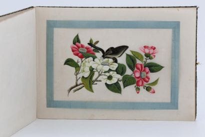 CHINE Canton XIXème Siècle

Album de 12 peintures...