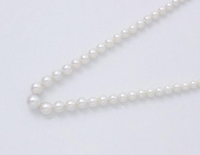 Collier composé d'une chute de perles de...