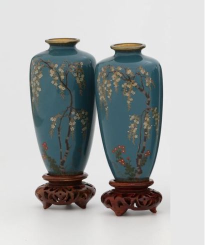 JAPON Période Meiji (1868-1912)

PAIRE DE...