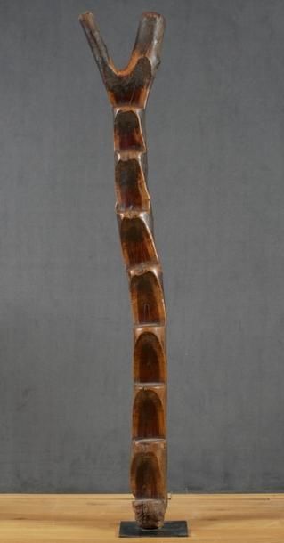 DOGON MALI - Echelle d'intérieur de case...