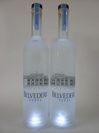2 MATHUSALEMS (600 cl) Vodka BELVEDERE

Bouteilles...