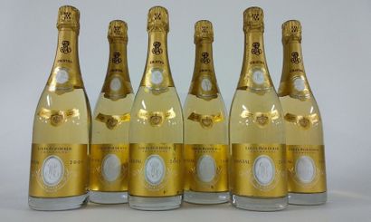 6 BOUTEILLES Champagne 