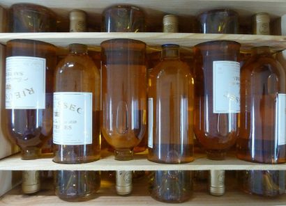 45/ 12 BOUTEILLES Château Rieussec

Sauternes...