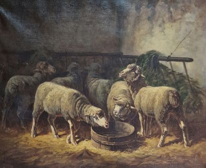 ECOLE DU DEBUT DU XXEME SIECLE
Moutons à...
