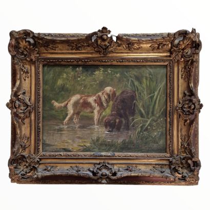 Marie-Didière CALVES (1883-1957)
Chiens de...