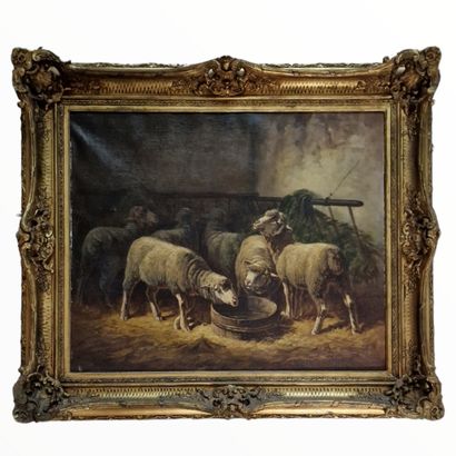 ECOLE DU DEBUT DU XXEME SIECLE
Moutons à...
