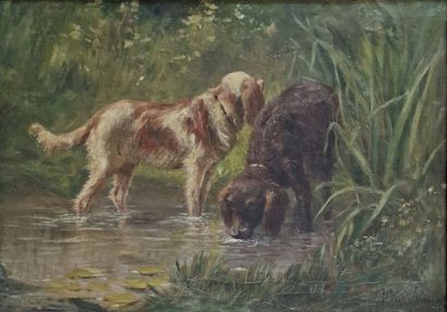 Marie-Didière CALVES (1883-1957)
Chiens de...