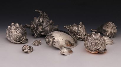10 COQUILLAGES doublés d'une feuille d'argent...