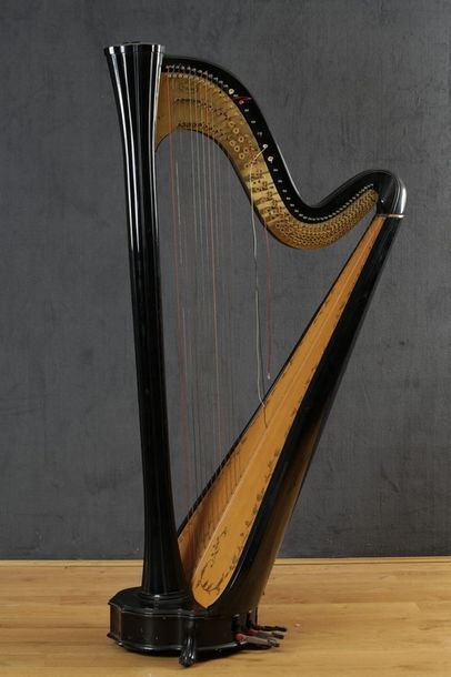 HARPE DE CONCERT - SALVI
Moderne
Bois laqué...