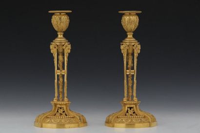 PAIRE DE FLAMBEAUX 

Style Louis XVI - XIXème...