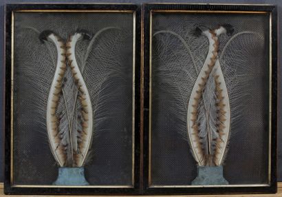 2 TABLEAUX en plumes figurant des vases

XIXème...
