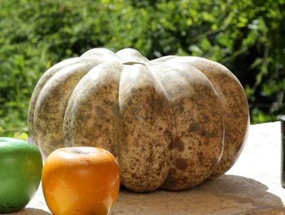 Hans HEDBERG (1917-2007)

Courge

Céramique...