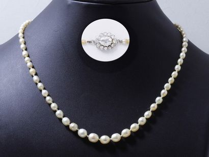 446/ Collier composé d'une chute de 69 perles...