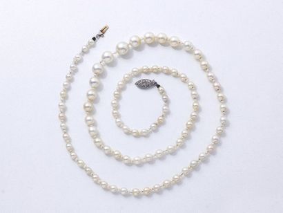 Collier composé d'une chute de 85 perles...