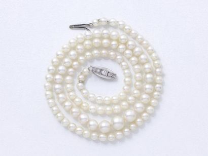 Collier composé d'une chute de 111 perles...