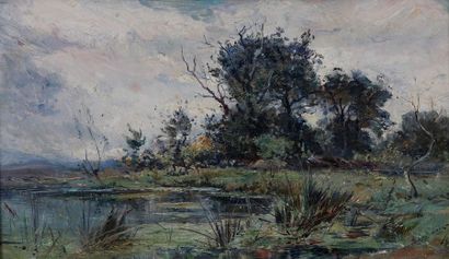 Emile NOIROT (Roanne 1853 - Le Bourzat 1924)

Etang...
