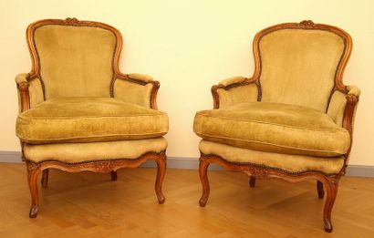 PAIRE DE LARGES BERGERES CABRIOLET VIOLONNE

Travail...