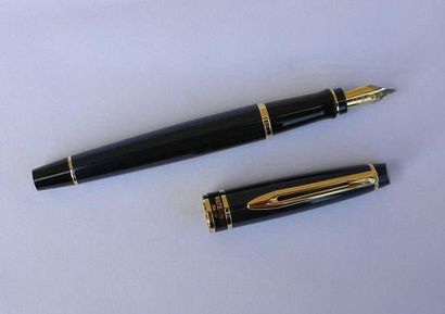 Stylo à plume Waterman bleu marine dans son...